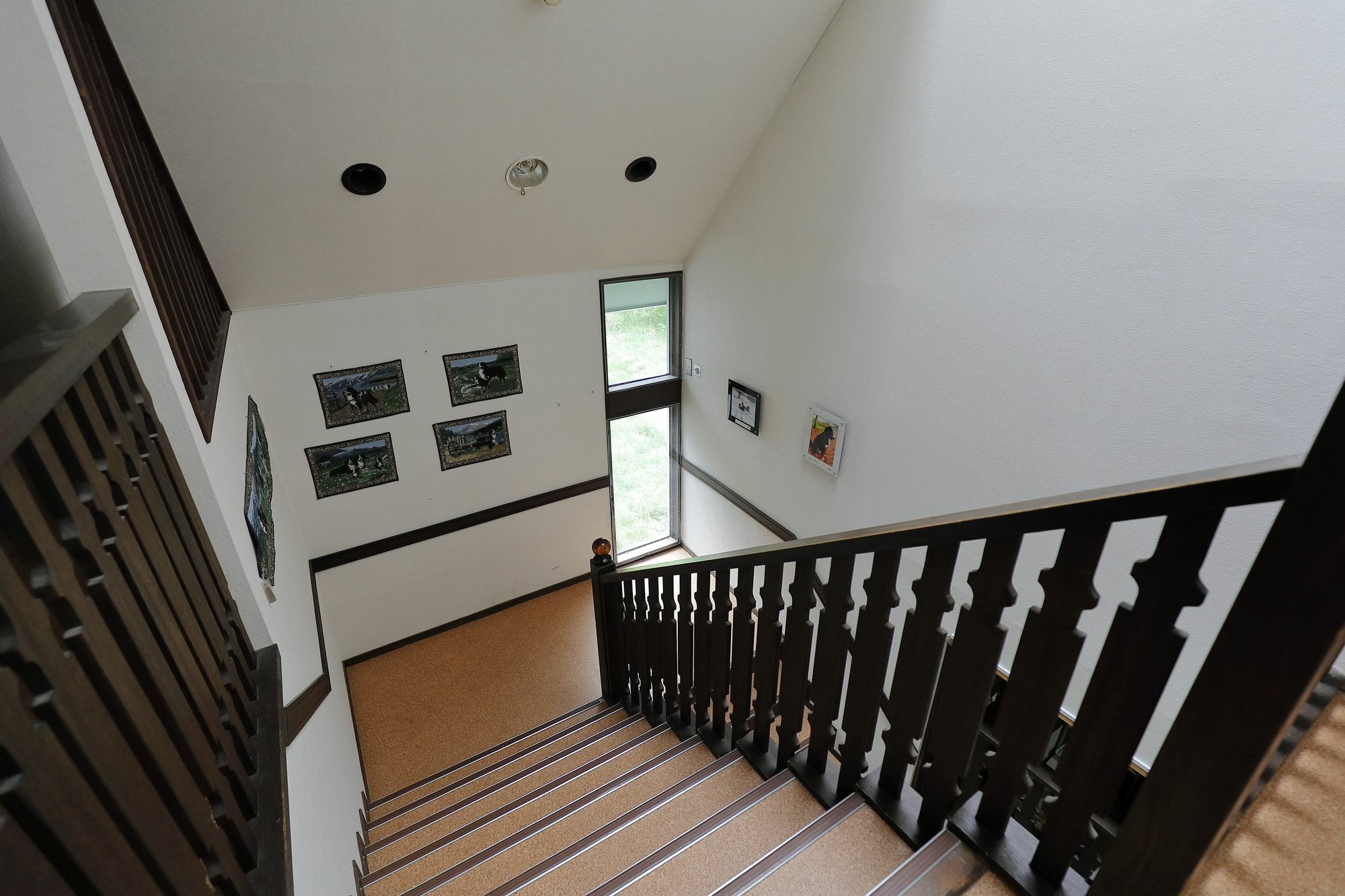 Guest House Bern Тіно Екстер'єр фото